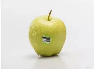 PG麻将胡了全球10大最好吃的苹果品种有6种来自日本第十苹果中的奢侈品(图3)