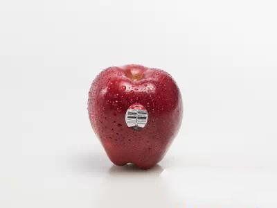 PG麻将胡了全球10大最好吃的苹果品种有6种来自日本第十苹果中的奢侈品(图7)