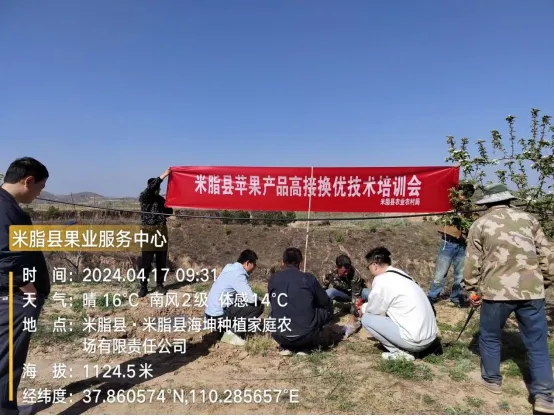 PG电子麻将胡了陕西米脂县农业农村局举办山地苹果高接换优技术培训会(图3)